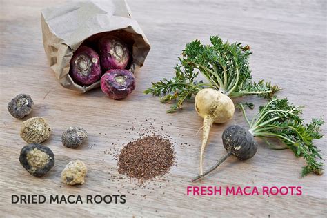 is maca safe to eat.